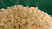 Uetze ist das einzige Anbaugebiet für die Silberzwiebel in Deutschland. Die kleine weiße Zwiebel wird direkt nach der Ente geschält und an Sauerkonservenhersteller geliefert.