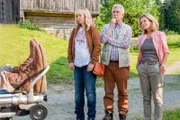 In der Kitzbüheler Wildnis wird die Sterneköchin Mirella Posch tot aufgefunden. Zufälligerweise ist Hannes Kofler (Heinz Marecek) als Juror vor Ort, und im Schlepptau hat er die Gräfin (Andrea L'Arronge, r.) inklusive ihrer twitternden Schwester Carolin (Pamela Knaack, l.). Vorerst werden zwei Konkurrenten des Mordopfers verdächtigt. Dann aber macht Hannes einen ganz besonderen Fund im Wald, der wiederum einen neuen Verdächtigen zutage bringt.