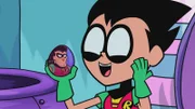 Robin