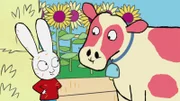 Kuh Daisy (r.) ist super sanftmütig. Simon (l.) hat viel Spaß mit ihr auf dem Bauernhof.