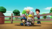 Piglets, Chase (vorne, unten, l.), Rocky (vorne, unten, r.), Rubble, Farmer Yumi (hinter, l.), Ryder (hinter, r.)