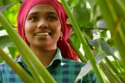 Die Welt der Gewürze  Kardamom aus Kerala  Kardamom-Farmerin