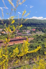 Das Dorf Anina (deutscher Name Steierdorf) ist die Endstation der Strecke. Als sie in den 1860er Jahren erbaut wurde, gehörte das Gebiet zum Österreichisch-Ungarischen Kaiserreich.