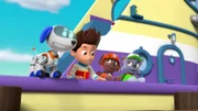 L-R: Robo-Dog, Ryder, Zuma, Rocky.