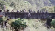 Spezialkräfte der taiwanesischen Armee bieten in Wochenendkursen militärisches Wissen für Zivilisten an.