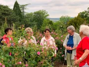 Rosariumsführerinnen wie die ehemalige Leiterin Hella Brumme (re.) und Sammlerin Eilike Vemmer (2. v.r.) begleiten durch die bedeutendste und weltgrößte Rosensammlung und vermitteln Wissenswertes.