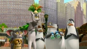 L-R: Mort, Maurice, Julien, Rico, Skipper, Private, Kowalski