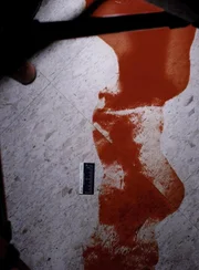 Danny Rolling ist einer der brutalsten Serienmörder. Er vergewaltigte und folterte seine Opfer. Immer wieder hielt er die Ermittlungsbehörden zum Narre. An einem Wochenende im Jahr 1990 terrorisierte er die Universität in Gainesville und ermordet fünf Studentinnen.
