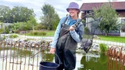 Um die Schildkröten einzufangen, geht es für Nina mit Wathose, Eimer und Kescher ab in den großen Teich. Mal sehen, wie viele Schildkröten ihr ins Netz gehen.