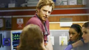 Will Halstead (Nick Gehlfuss)