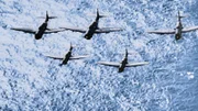 Das Flugzeug