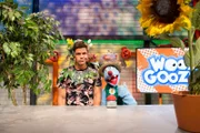 Superbaum Simón - weil Woozle nach der perfekten Pflanze für den Wettbewerb "Woozlingen sucht den Supergärtner" sucht, erfindet er den Superdünger "Glühwoozat 3001". Der bringt aber nicht etwa seine Pflanzen zum wachsen, sondern macht Simón zur 'perfekten Pflanze'.