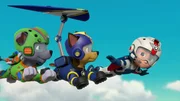 L-R: Rocky, Chase, Ryder