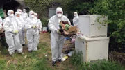 Stefan (Mitte) und die Helfer in Schutzanzügen beim Entmüllen
