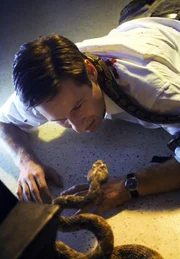 Fox Mulder (David Duchovny)