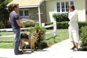 Susan (Teri Hatcher, r.) gibt alles, um ihrem Nachbarn Mike (James Denton, l.) näher zu kommen ...