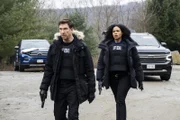 Dylan McDermott als Remy Scott, Roxy Sternberg als Sheryll Barnes