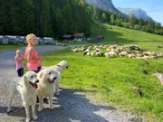 Hirtin Irene Jauch mit ihrer Tochter und den drei Herdenschutzhunden beim Alpaufzug, Isenthal, UR.