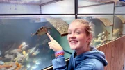 Diese Westliche Zierschildkröte ist sehr neugierig und kommt zu Nina an den Beckenrand.
