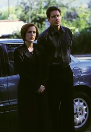 Dana Scully (Gillian Anderson, l.); Fox Mulder (David Duchovny, r.)
