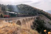 Normalerweise werden die Sonderzüge auf der Transiberiana D’Italia von der D 3451058 gezogen, einer Diesellok gebaut von Fiat.