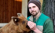 Ein Spaziergang der besonderen Art: Kune-Kune-Schwein Tommy macht mit Tierpfleger Marten einen Ausflug durch die Wilhelma- und macht Bekanntschaft mit vielen Tieren. Besonders die Geparde scheinen ganz verrückt nach dem kleinen Schwein zu sein!