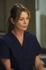 Nach dem verheerenden Flugzeugabsturz versucht Meredith (Ellen Pompeo) wieder etwas Normalität in ihr Leben zu bekommen. Doch wird es ihr gelingen?