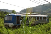 Unterwegs in den Dschungel von Sabah: der Regionalzug zwischen Beaufort und Tenom. 2011 erweiterte die Staatsbahn ihren Fuhrpark um einige neue chinesische Dieseltriebwagen.