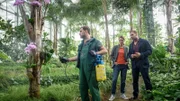 Pit Kanther (Günther Harder, l.) ist Gärtner im Botanischen Garten Wismar und hat seine Kollegin Imke Brehm tot aufgefunden. Die beiden waren ein hervorragendes Team und forschten gemeinsam an einem botanischen Projekt. Die Kommissare Karoline Joost (Nike Fuhrmann, M.) und Lars Pöhlmann (Dominic Boeer, r.) interessiert zunächst die Antwort auf die Frage, weshalb das Opfer abends nochmals an seinen Arbeitsplatz zurückkehrte.