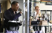 Bei ihren Ermittlungen im Haus des ermordeten Footballtrainers stellen Ray Langston (Laurence Fishburne) und Catherine (Marg Helgenberger) fest, dass in der Troph&auml;ensammlung des Coach zwei St&uuml;cke fehlen.  +++