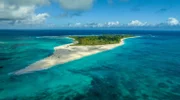 Ihren Namen 'Vogelinsel', trägt sie zurecht: Über eine Million Rußseeschwalben brüten auf Bird Island in einer riesigen Kolonie.
