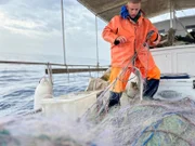 Auf dem Fischerboot von Danilo Skoko wird noch jeden Tag regionaler Fisch gefangen.