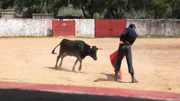 Ein Mann, der in einem Ring Stierkampf spielt