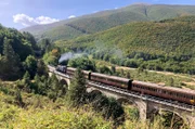 Fast 700 Höhenmeter muss die Dampflok bewältigen bis sie den Scheitel-Tunnel erreicht. Die Strecke ist teilweise bis zu 28 Promille steil.