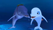 Zoom hat sich mit Igor angefreundet, einem Delfin, der vom Militär eingesetzt wird.