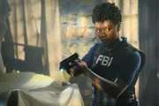 Special Agent Tiffany Wallace (Katherine Renee Turner)