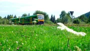 Die Waldbahn war die Voraussetzung für die Entwicklung des Fremdenverkehrs im Bayerischen Wald. Und noch heute ist die Fahrt für Touristen äußerst attraktiv.