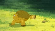 Schildkröte Törtel hat sich in einer Angelschnur verfangen, die im Wald zusammen mit jeder Menge anderem Müll abgeladen wurde.