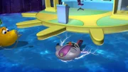 Timmy, Bess und Skid müssen Seegurken zur Seegraswiese bringen, einen Behälter für Aale suchen und diese bei Suzie abholen.
