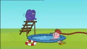 Hase und Elefant wagen einen Sprung ins Wasser.