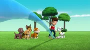 L-R: Zuma, Skye, Chase, Rubble, Ryder, Marshall