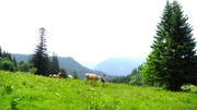 Birgit Eder auf der Zellerhüten.