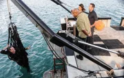 Das Team um Kono (Grace Park, 2.v.r.), Steve (Alex O'Loughlin, r.) und Grover (Chi McBride, 2.v.l.) kommt einem Ring illegal arbeitender Fischer auf die Schliche. Währenddessen versucht Danny alles, um sein gestohlenes Auto wiederzubekommen ...