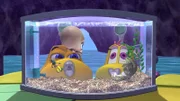 Taucher Tom hat einen süßen, kleinen Babykraken gefunden, der seine Mutter verloren hat. Bis der kleine Schelm groß ist, müssen Tom und die beiden U-Boote auf ihn aufpassen.