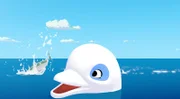 Der weiße Delfin Zoom schaut mit dem Kopf aus dem Wasser und schaut begeistert einem Fisch hinterher, der gerade neben ihm im Meer landet.
