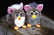 Ende der 90er Jahre erobert ein elektronisches Haustier die Kinderzimmer: der Furby. Ende der 90er Jahre erobert ein elektronisches Haustier die Kinderzimmer: der Furby.