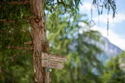 Die Drau entspringt am Nordabhang des Neunerkofels (Haunoldgruppe) oberhalb des Toblacher Feldes im Pustertal in Südtirol (Italien) im Gemeindegebiet von Toblach (italienisch Dobbiaco). Das Wasser ihrer fünf Hauptquellen fließt ein paar hundert Meter über steile Wiesen und Waldböden zur Talsohle, wo sich erst ein richtiges Bachbett bildet. So überwindet die Drau bereits auf den ersten zehn Kilometern über 430 Höhenmeter.
