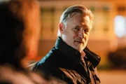 Bill Pullman (Det. Harry Ambrose).