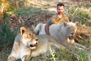 Kevin Richardson with lionesses