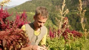 Gemüsebauer Harald Gasser im Beet